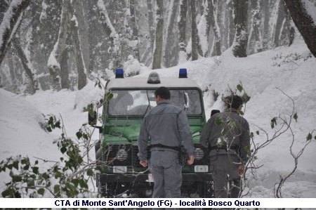 Emergenza neve 2012