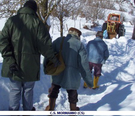 Emergenza neve 2012